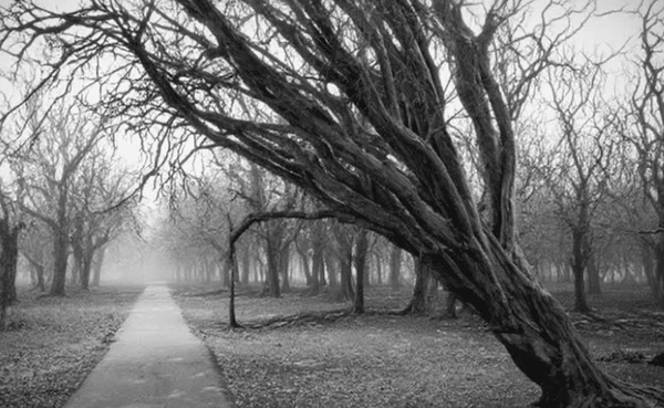 Monochrome Camera photo Monochrome Camera photo
