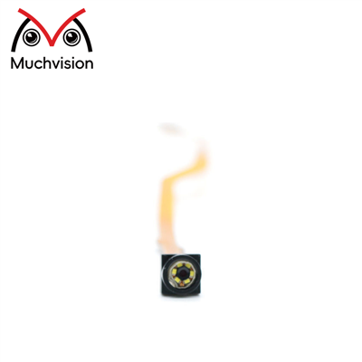 0.3MP MIPI Camera Module GalaxyCore GC0312 Miniature Endoscope for Dental and Medical Applications