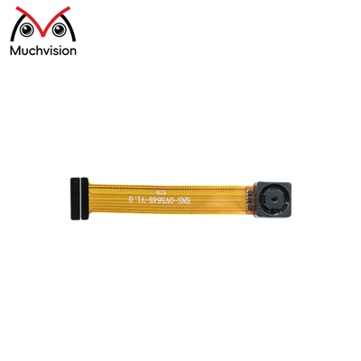 5MP MIPI Camera Module Omnivision OV5648 High-Resolution Compact Fixed Focus Module for Mobile